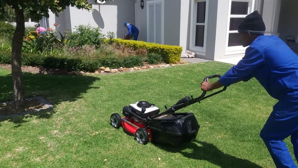 Pre-Summer Lawn Care Guide