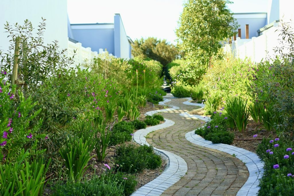 Hydrozoned plants around a beautiful garden path in a residential estate in the Boland, as pldesigned and executed by Greenfingers Landscaping