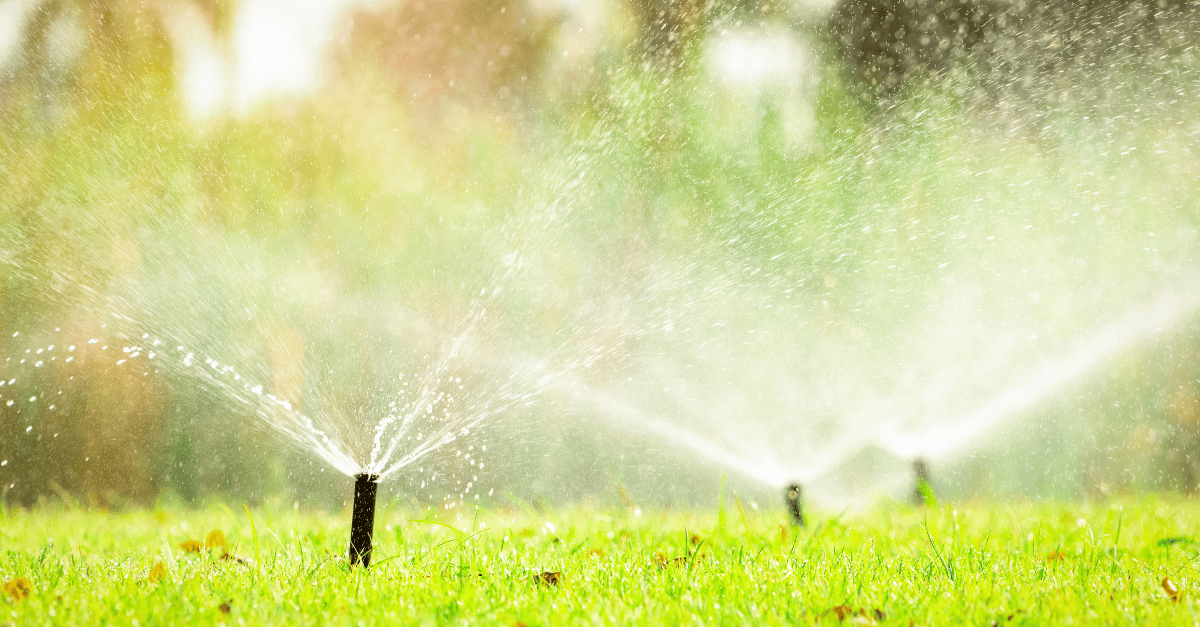 Summer Water Management Essentials